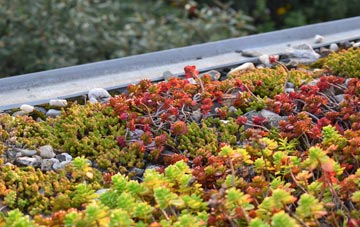 the cost of Bletherston green roof installation