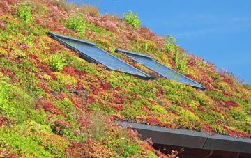 Bletherston living roof systems